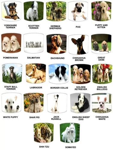 Cani paralumi per - per, abbinare