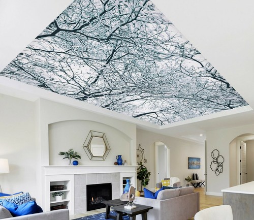 Rami na8618 soffitto parete - rami,